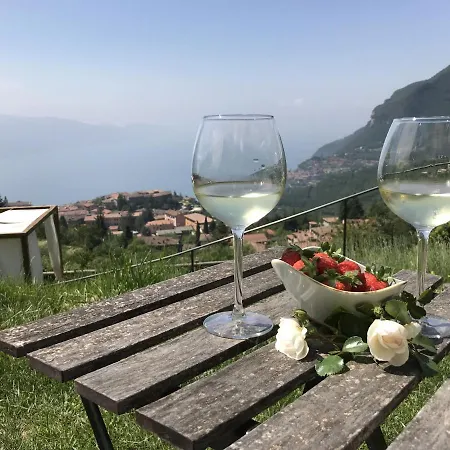 Borgo Le Vigne - L'acqua Vite Only Adults * Tignale