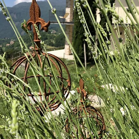 Borgo Le Vigne - L'acqua Vite Only Adults *