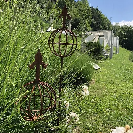 Borgo Le Vigne - L'acqua Vite Only Adults * טיניאלה